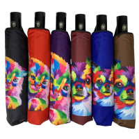Оптом складна парасоля напівавтомат від flagman модель colorful dog - colorful cat , 6 кольорів, fl151