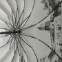 Жіноча парасоля-тростина з містами на сріблястому напиленні під куполом, чорний, 01011-4