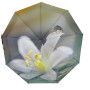 Женский зонт-автомат в подарочной упаковке с платком, цветочный принт от Rain Flower, 01030-2